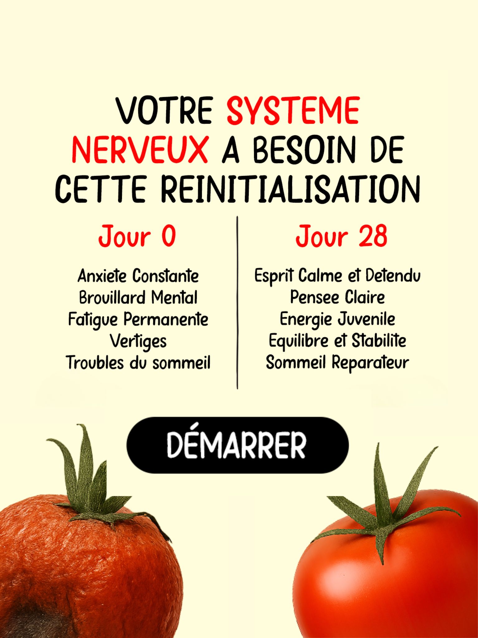 nerf vague programme